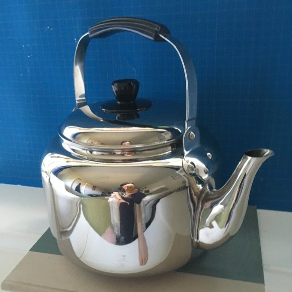Demeyere Kitchen Demeyere Stainless Steel Tea Kettle 63qt Poshmark